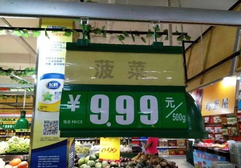 寿光洪灾：半生心血毁于一旦，“我的老天呀，这是要我的命啊