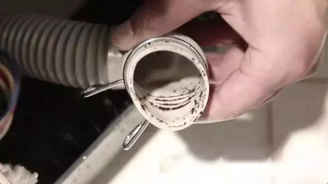 洗衣机用3个月细菌量竟是马桶的530倍？！(图3)