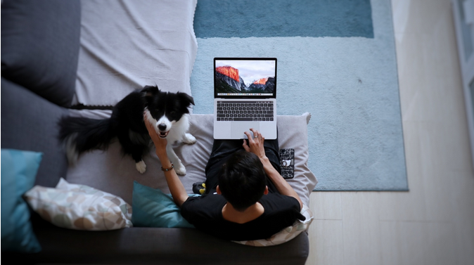 2018��MBP���⣺�ᱡ���������������Ž�