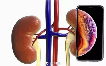 苹果发布会之后蹭热点一览 网友：杜蕾斯一如既往腰间盘突出！