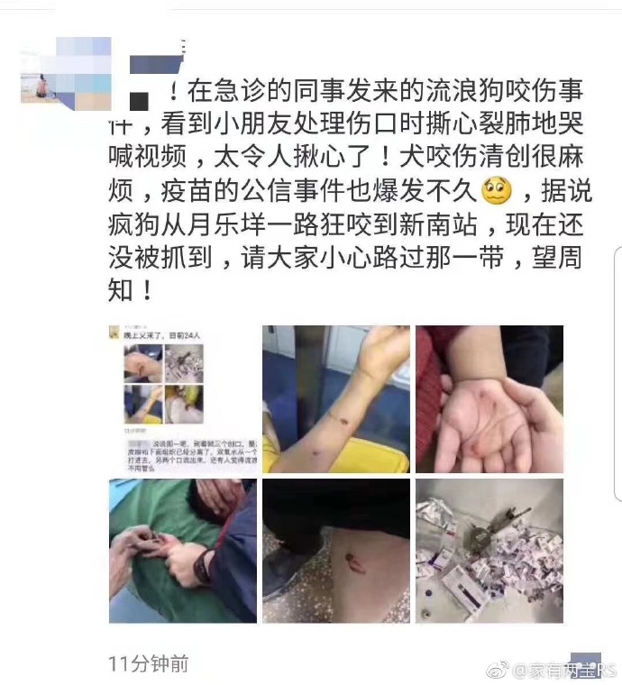 6a31e377ly1fxapavmessj20u00x279h.jpg