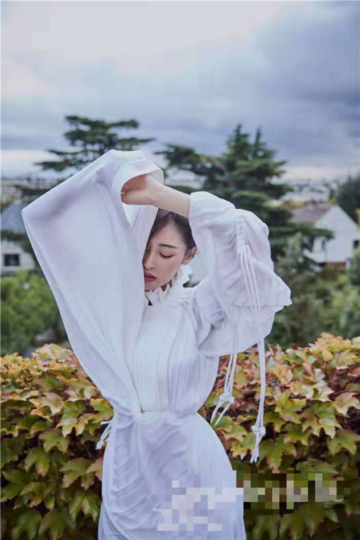 张天爱杂志封面曝光 多变造型诠释法式浪漫