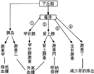 你到底是嘴馋还是饥饿？这是个科学问题