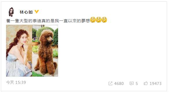 林心如新造型酷似泰迪 晒对比照回应:一直想养