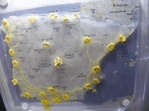 人花百年规划设计的铁路网 无脑生物26小时就搞定了
