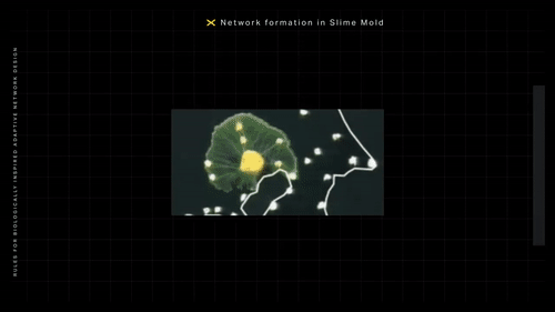 人花百年规划设计的铁路网 无脑生物26小时就搞定了