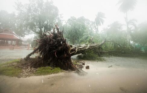 台风“帕布”登陆泰国已致1死 大量中国游客滞留