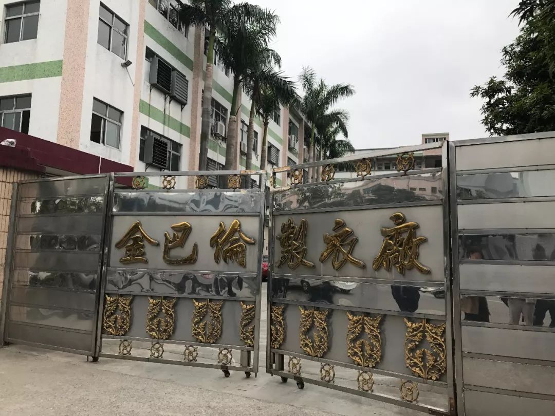 记者追击:真假加拿大鹅再生事端 网易考拉赴东莞实物鉴定无果