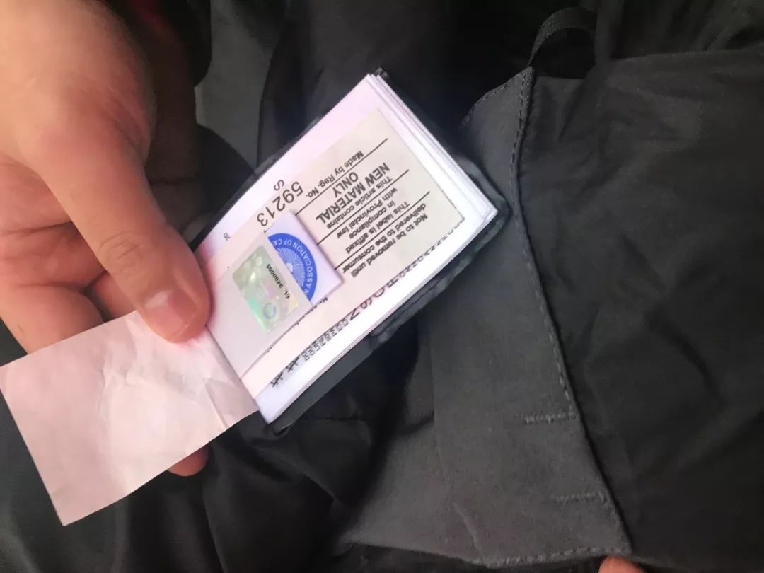 记者追击:真假加拿大鹅再生事端 网易考拉赴东莞实物鉴定无果