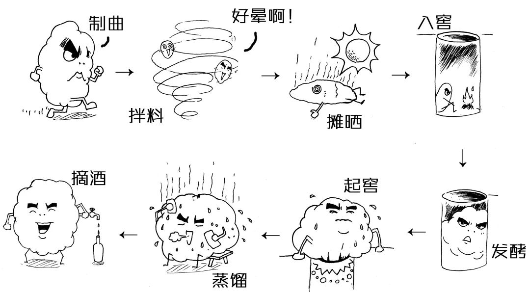 浓香白酒的发酵依赖于空气,酒曲及窖泥三种微生物,前两种微生物会伴随