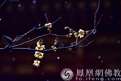 法师:这一错误行为现代人经常犯 却极损福报!