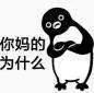 张小龙请回答：微信这些功能是咋想的？