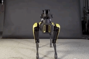 喂，315吗？我花299元买到一只人工智障！