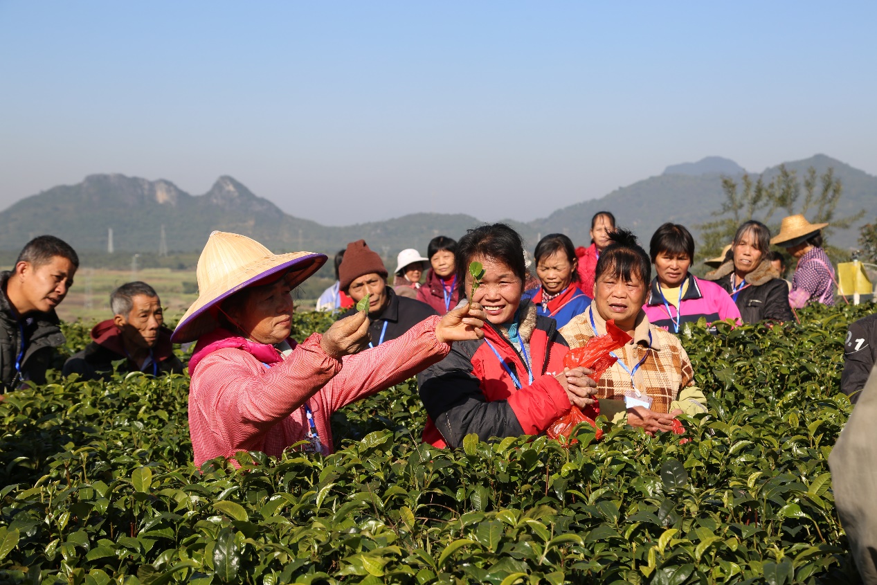 打好精准脱贫攻坚战 民企探索扶贫“多元化”路径