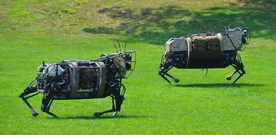 喂，315吗？我花299元买到一只人工智障！