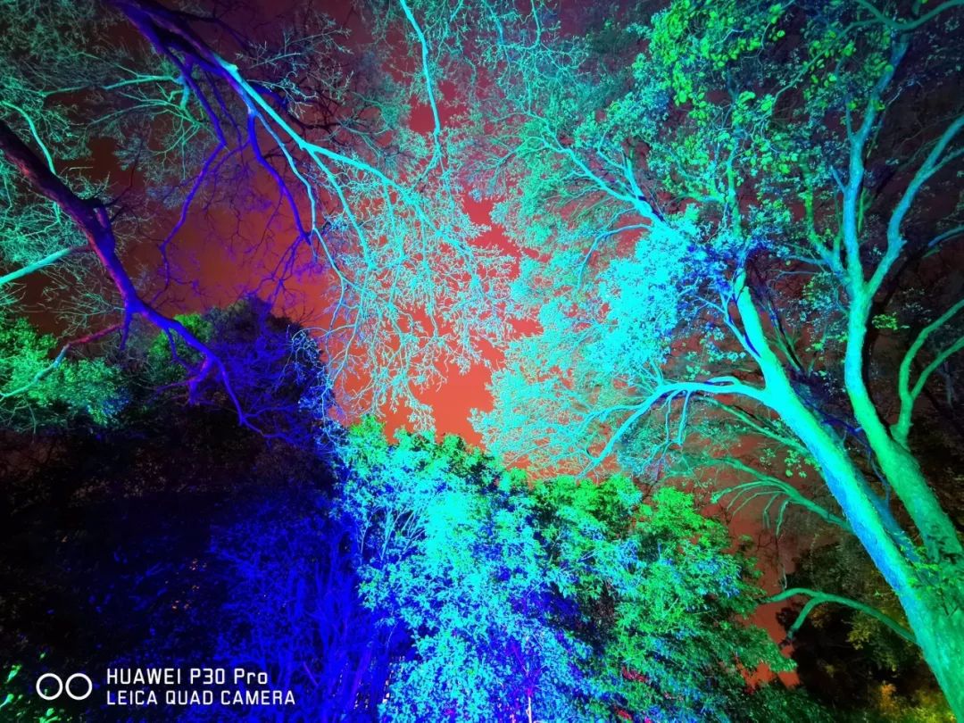 华为P30 Pro实拍样张集