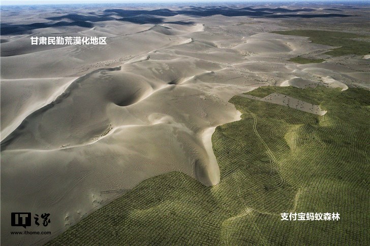 支付宝蚂蚁森林用户数已达5亿，累计种下1亿棵真树