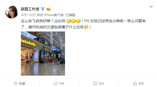 赵薇高铁站席地而坐啃汉堡 吃完不忘垃圾分类