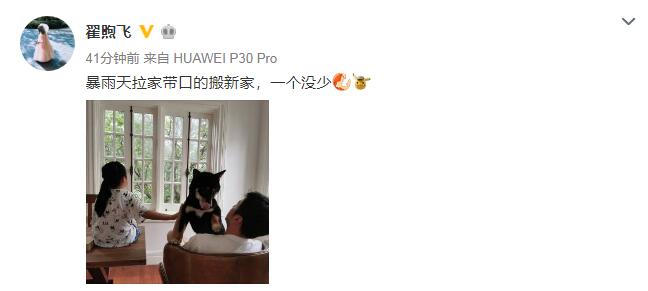 雷佳音出轨佟丽娅？他老婆发声辟谣了！