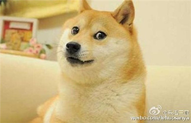 凤凰海南图文直击:2016年海南高考考场内外