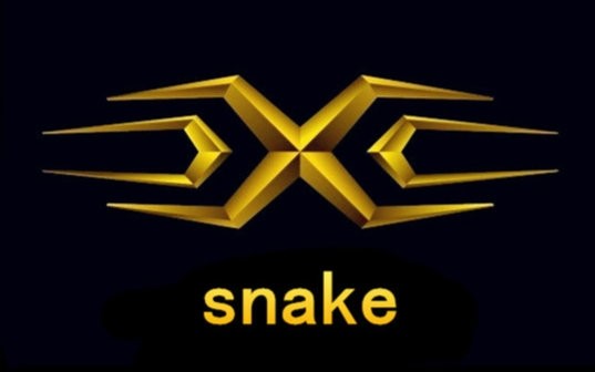 全民tv主播小樱探访snake战队