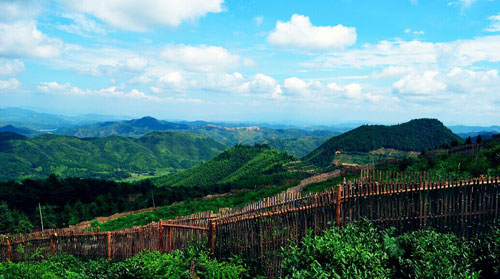 开启暑假撒欢模式 一起去赣州乡村“玩泥巴”_凤凰江西
