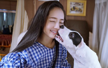 人不如狗！郭碧婷甜蜜亲吻狗狗
