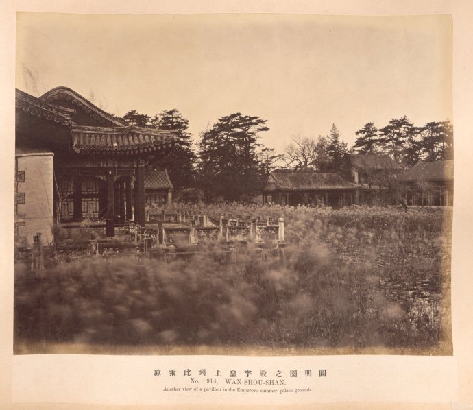 文章配图