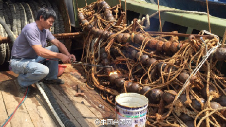 大陆渔船遭台方指控“越界”捕捞 被罚240万新台币