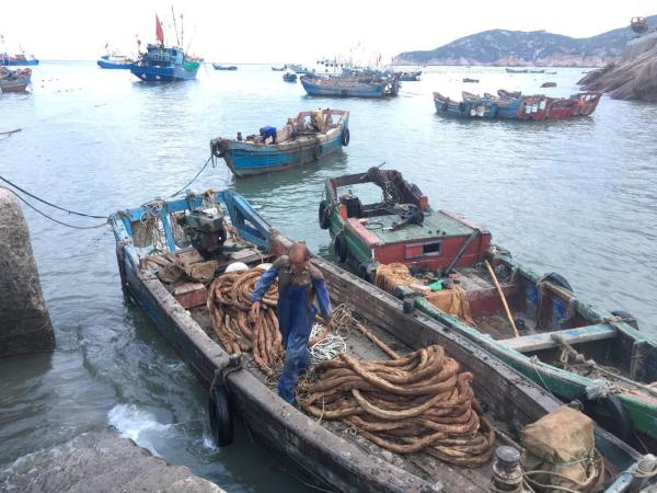 “东海无鱼”：休渔难敌捕捞 渔民提议禁渔2年