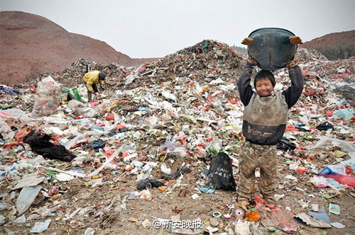 1400吨垃圾跨省偷埋安徽 浙江四家政府单位被起诉