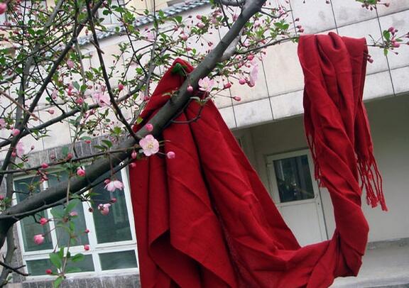 云南：女教师独自撑几个家不堪重负 用围巾上吊自杀