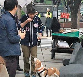 美国驻韩大使李柏特到抗议朴槿惠集会现场遛狗