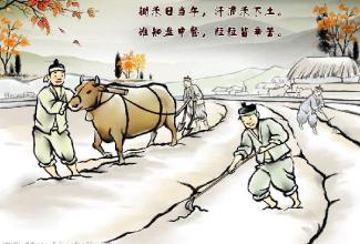 专家:是什么将小农意识深植于中国人的国民性