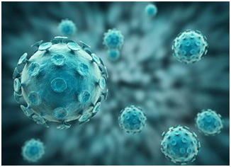 中国科学家最新研究：寨卡病毒可能导致雄性不育