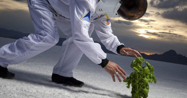 
阿联酋宣布“太空农业计划”：或在火星种草莓