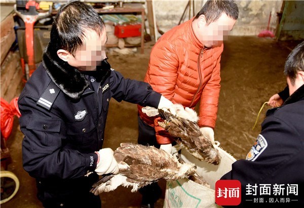 四川破获一野味案:熊头熊掌穿山甲成堆,查扣近2吨动物死体 - 梅思特 - 你拥有很多,而我,只有你。。。 四川破获一野味案:熊头熊掌穿山甲成堆,查扣近2吨动物死体 - 梅思特 - 你拥有很多,而我,只有你。。。