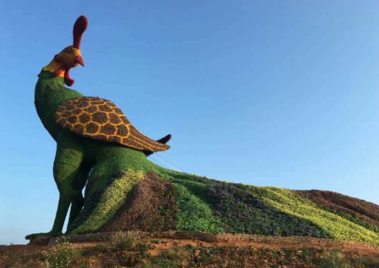 万安花花世界主题景区用大地艺术带动乡村