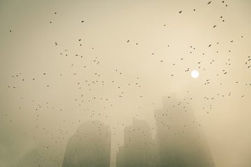 北京发布《雾霾防护常识十三问》：霾天尽量别炒菜