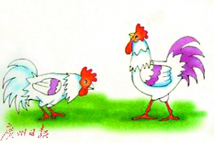 鸡年说鸡 那些关于鸡的成语和诗句背后的故事