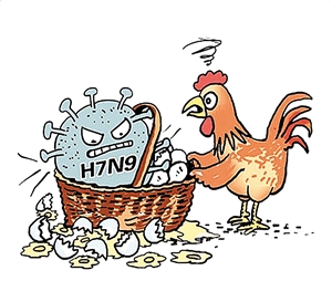 大冶市严密防控H7N9禽流感