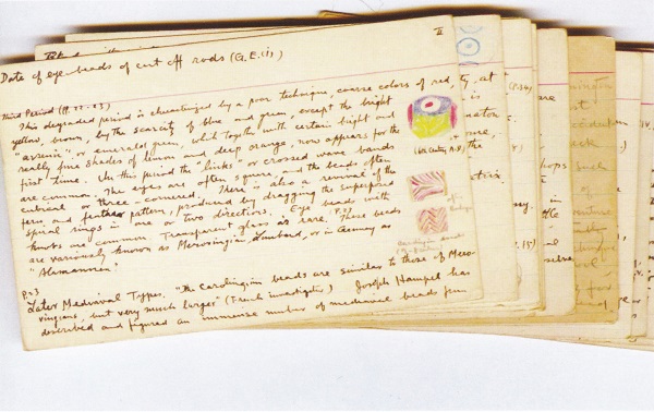 考古学家_考古学家收入