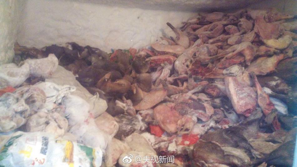 千只野生动物遭捕杀 尸体遍地 - 梅思特 - 你拥有很多,而我,只有你。。。 千只野生动物遭捕杀 尸体遍地 - 梅思特 - 你拥有很多,而我,只有你。。。