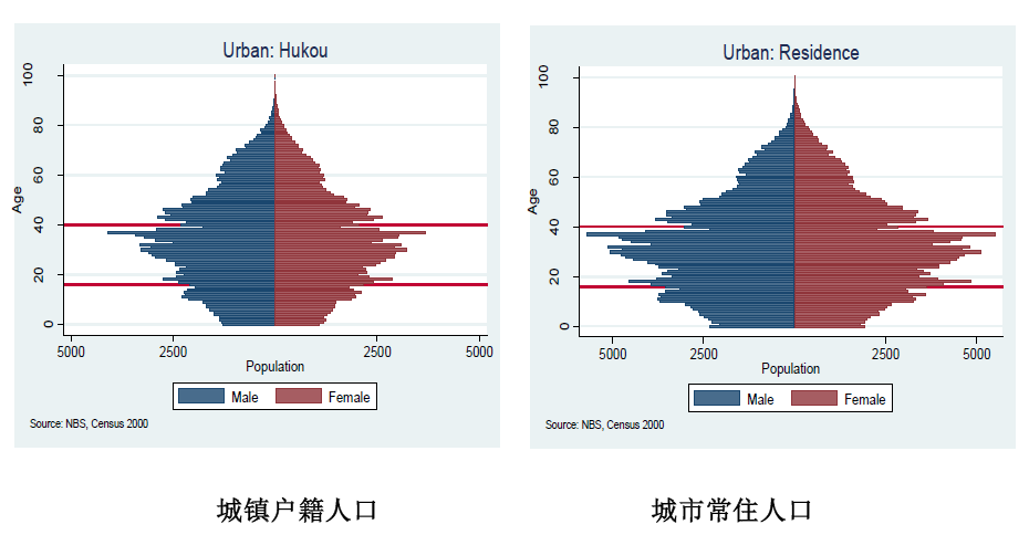 中国人口老龄化_中国农村人口老龄化