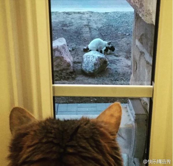 [FUN来了]恋爱像开车 新手只会哭老司机会换备