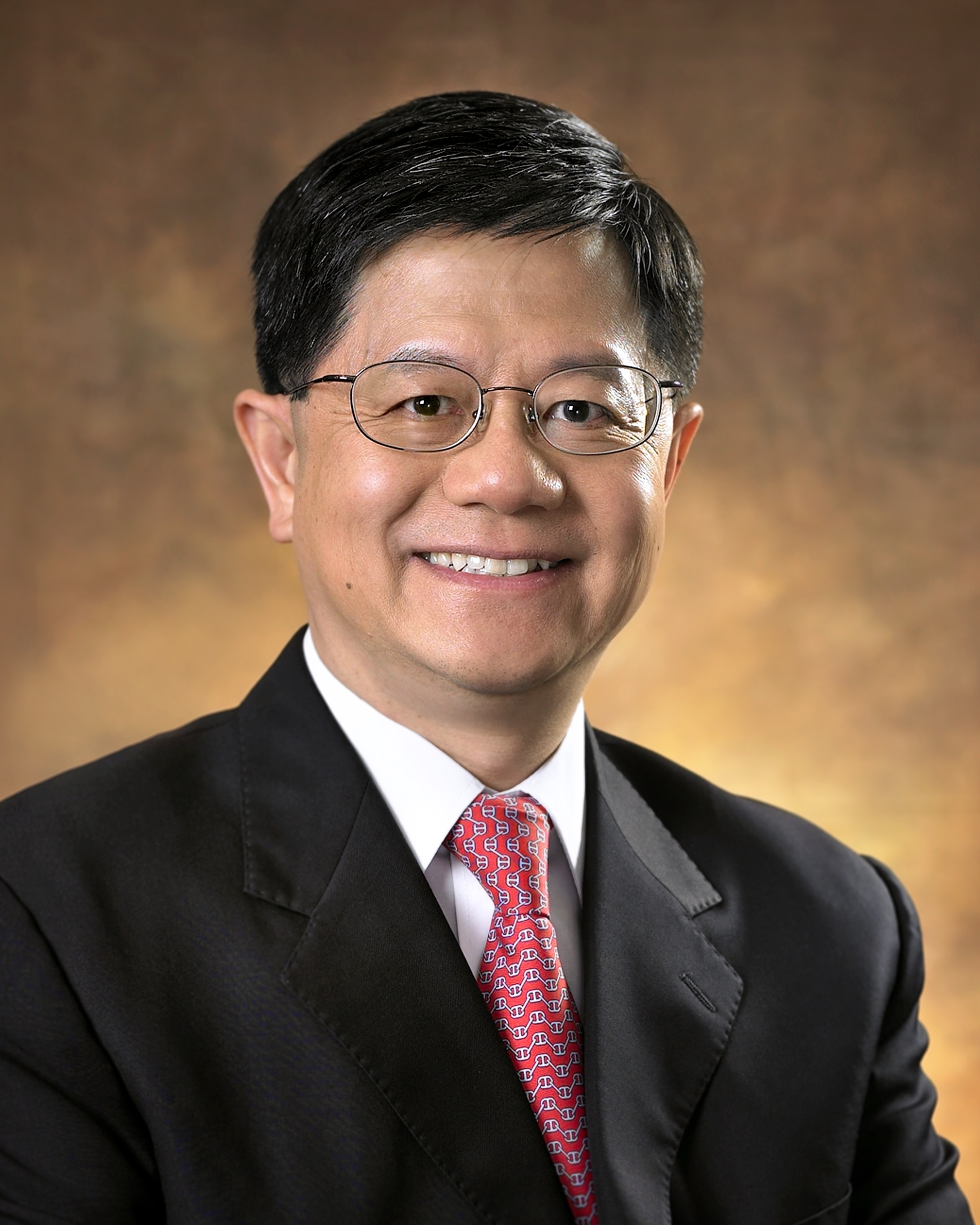 一带一路|杨贤:东盟国家的黄金契机