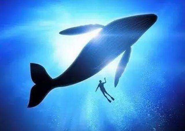 北京：1300余条“蓝鲸”死亡游戏被查删