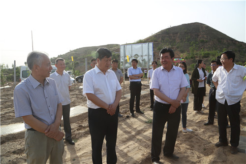 5月30日,"子洲山地苹果示范区"在该县高墕村建成,村里800亩土地由种植