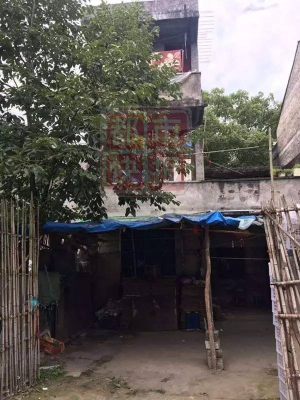 男子当街杀害一对母子 为何村民都说杀错人了(组图) - 10
