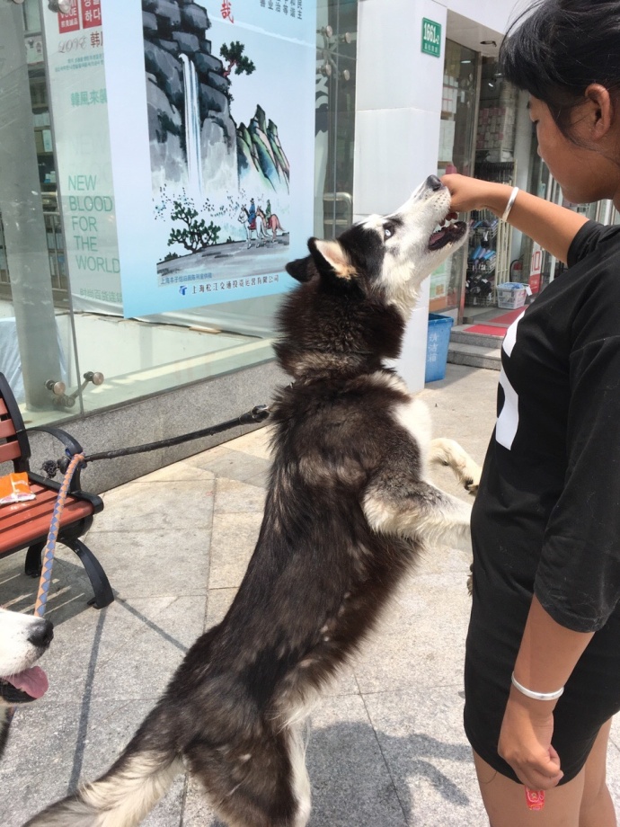 [FUN来了]大学同学比高中丑 因为人丑才会多读书